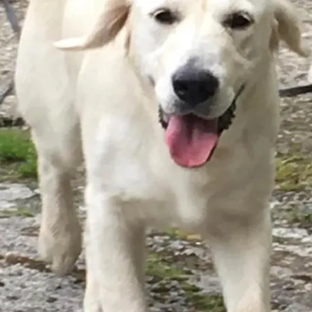 Cosy Seaside Baltimore Ballylinchy