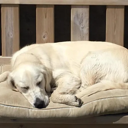 Cosy Seaside Baltimore * Ballylinchy