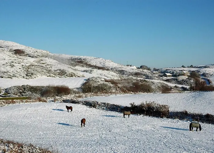 Cosy Seaside Baltimore Ballylinchy