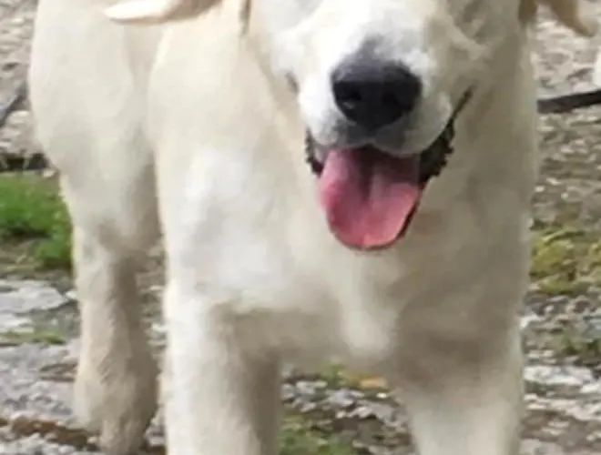 Prázdninový dům Cosy Seaside Baltimore *