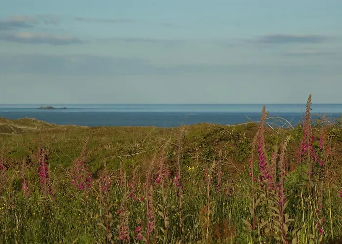 Cosy Seaside Baltimore Prázdninový dům Ballylinchy