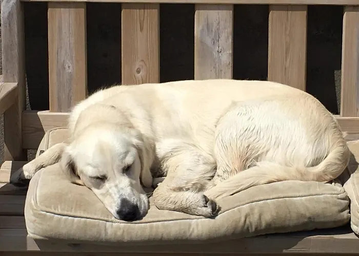 Cosy Seaside Baltimore * Ballylinchy